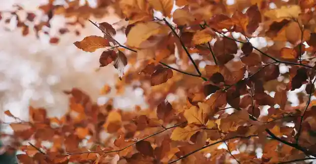 Uncovering the Truth