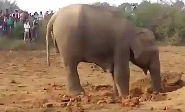 何のために掘る？