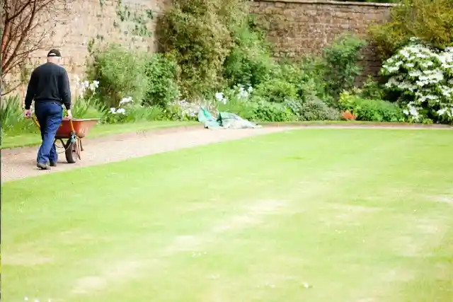 The Groundsman