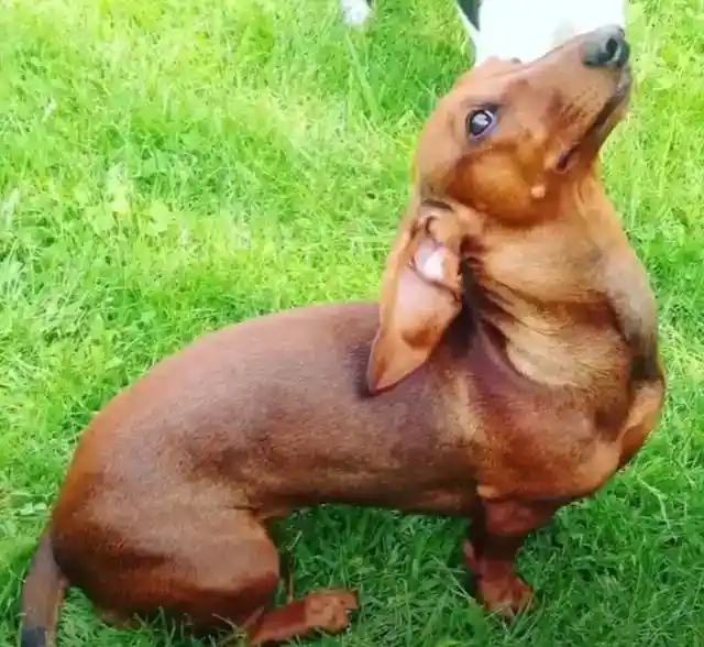 Helping Out in the Difficult Task