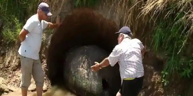 The Removal Of The Object