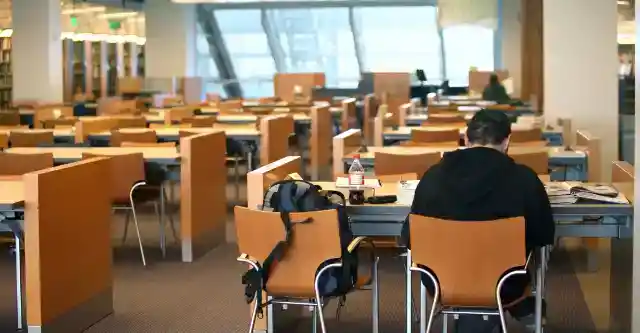 Gazing At The Parking Lot