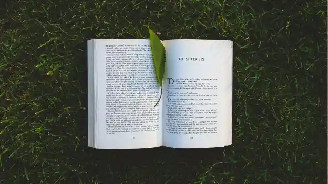 Embracing New Beginnings