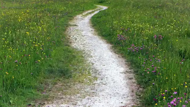 Just As He Remembered