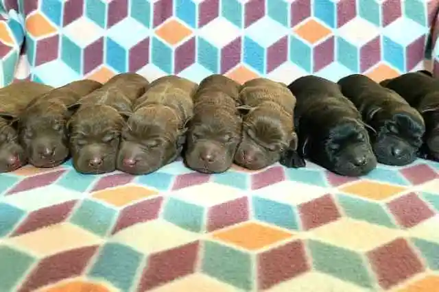 그들을 구별짓는 차이