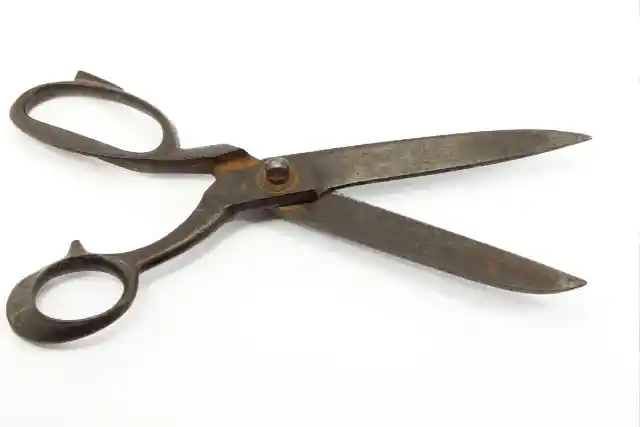 The Scissors