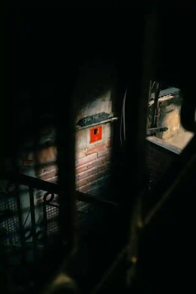 Undertook The Renovation 