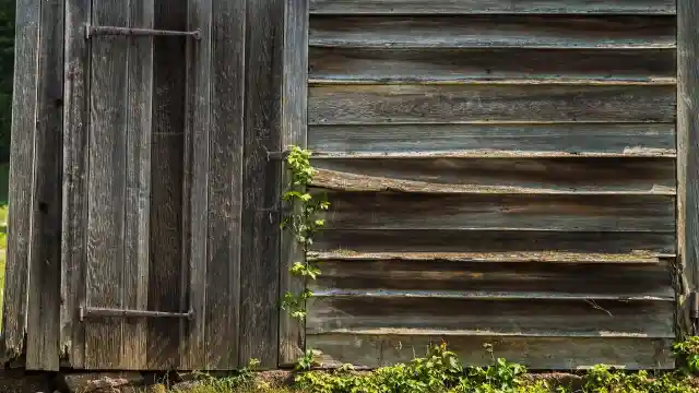 An Old Shed