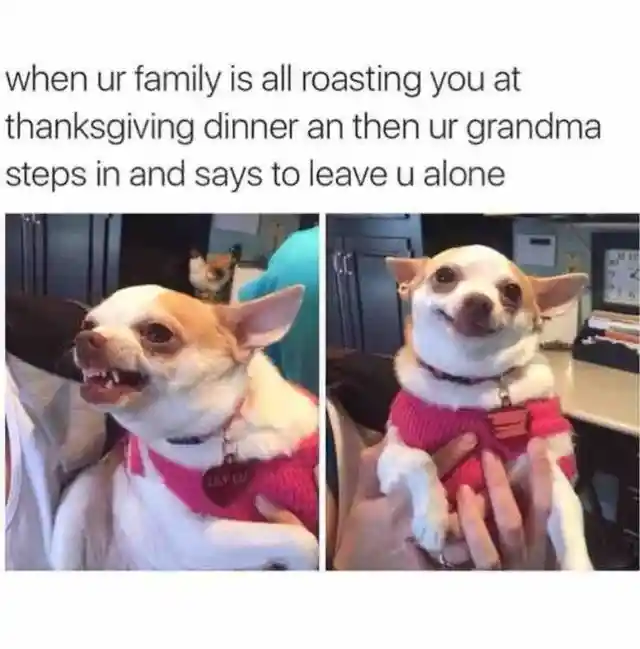 Thank You, Grandma