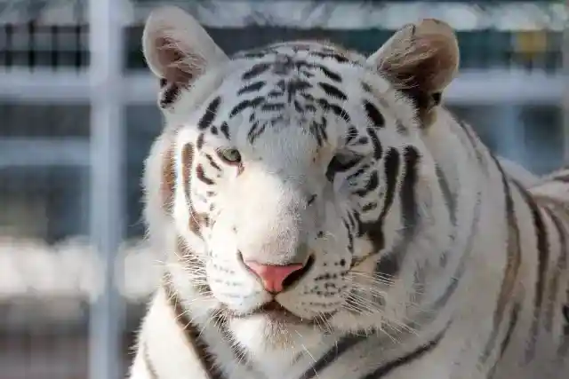 共に年を重ねて