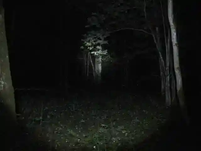어둠 속의 질주