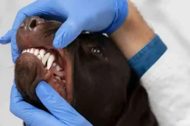 더 많은 답을 찾기 위해 돌아가다