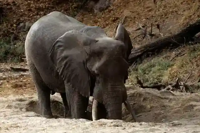 トンネルの先に光