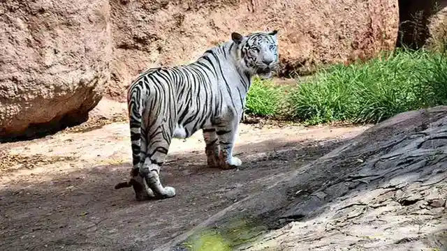感謝に満ちた別れ