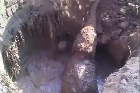 새끼 코끼리 구하기