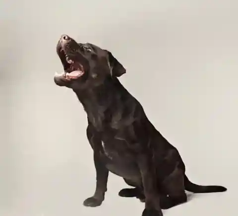 抵抗