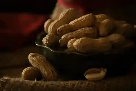 땅콩