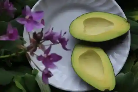 아보카도