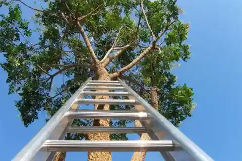 Discoveries High Above