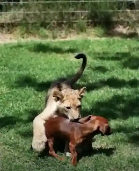 Real Miracle Happened