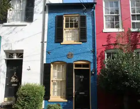 Beauty That Transcends Time