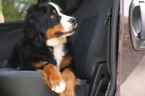 Going Home