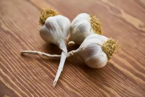 Garlic