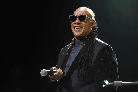 Stevie Wonder's Vision