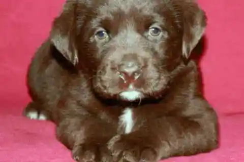 奇跡の目がさらに明らかに