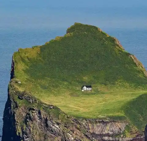 The Real Owners of the House