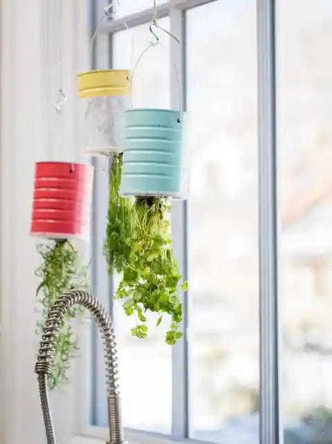 Create a Hanging Herb Garden