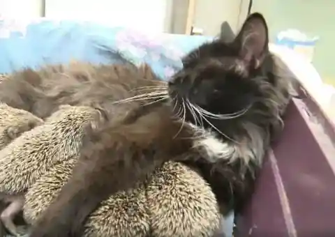 People Were Speechless