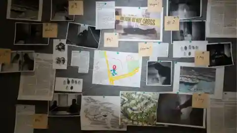 Pieces Of The Puzzle