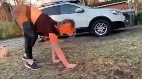 27. Influence on Alternative Sports