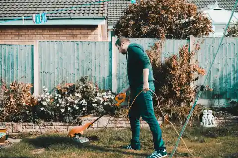 Tending The Garden 