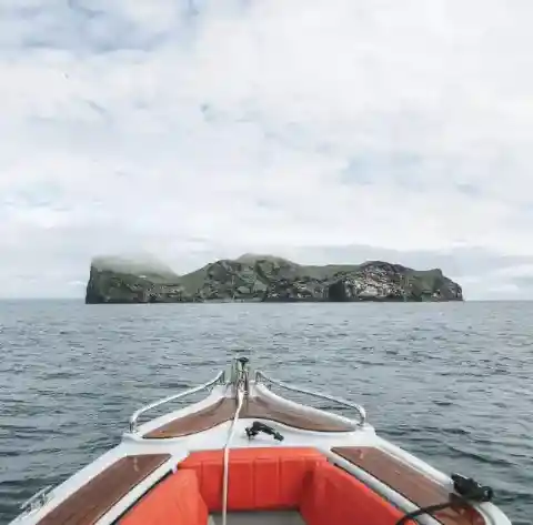 These Were All False