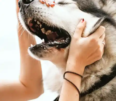 Simple Protectiveness 
