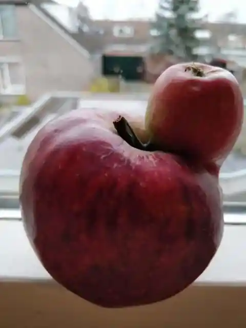 An Apple For An Apple