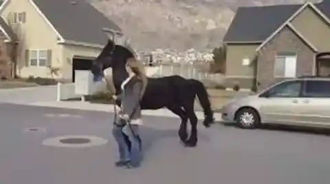 21. コミュニティの拡大