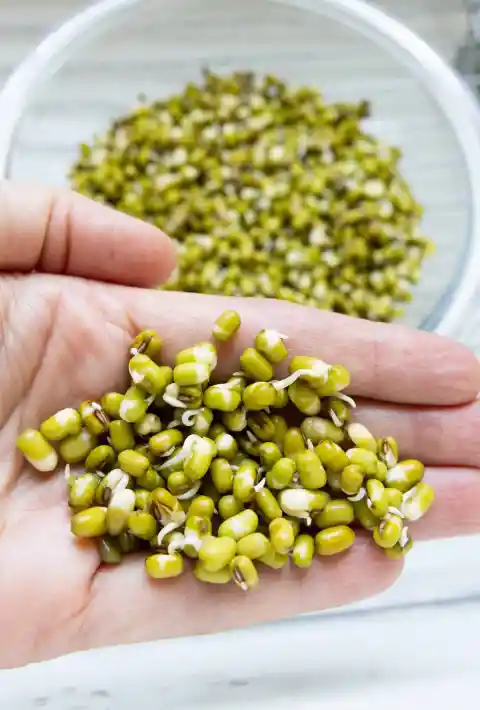 Mung Beans