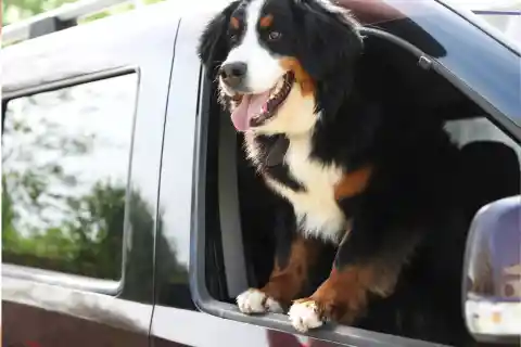 Eager 