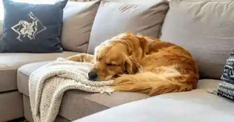 Max’s Condition Worsens