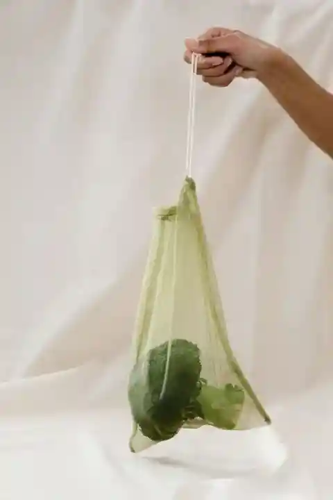 브로콜리