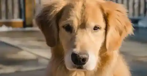 Max’s Strange Behavior Continues