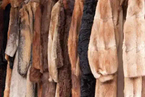 Furs