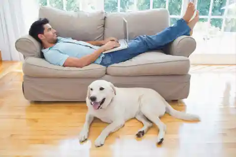 A Relaxed Individual