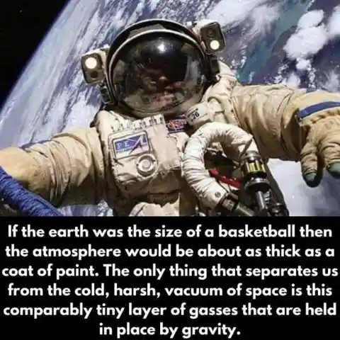 The Law of Gravity