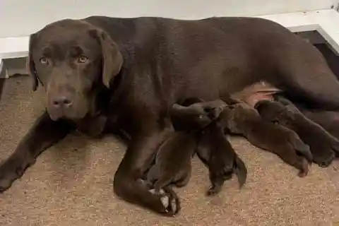 明らかになった12の小さな手がかり