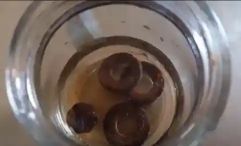 Hydrogen Peroxide as Stain Remover