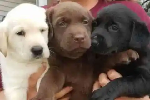 二人の父親、驚くべき発見